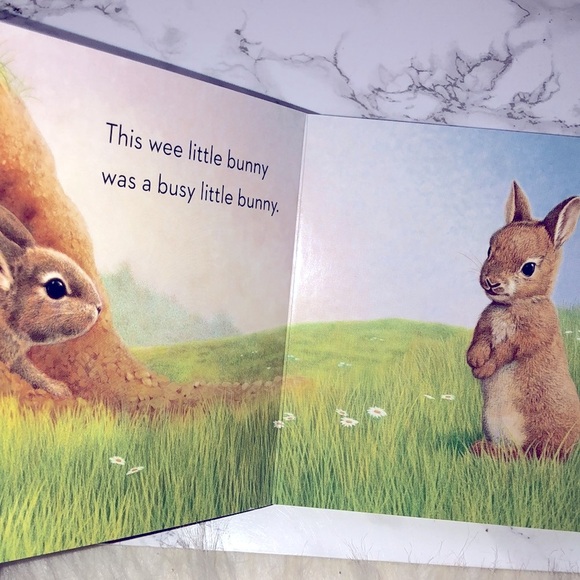 Little Bunny kids book - Picture 4 of 10